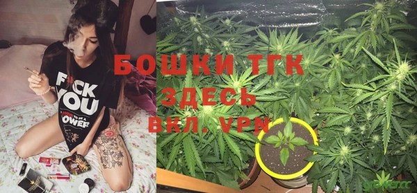 крисы Козловка