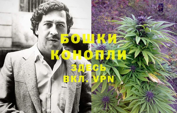 дмт Козельск