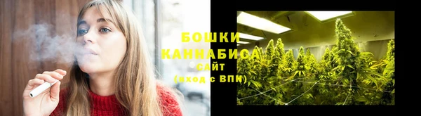 дмт Козельск