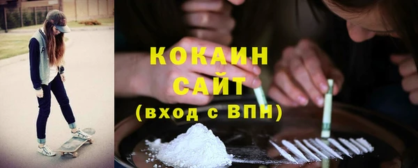 крисы Козловка