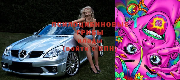 крисы Козловка