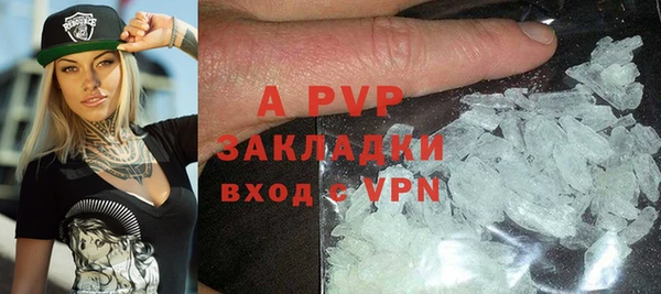 крисы Козловка