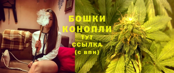 крисы Козловка