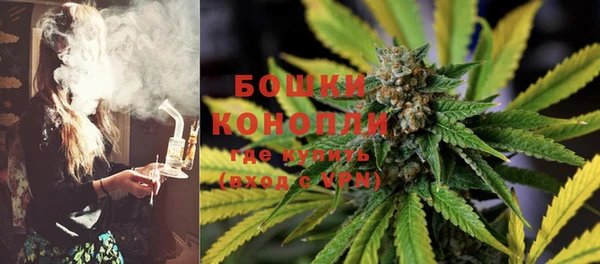 дмт Козельск