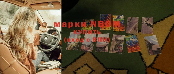крисы Козловка