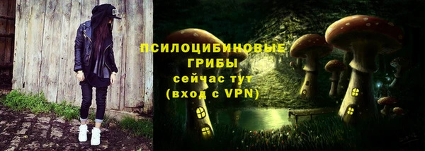 дмт Козельск