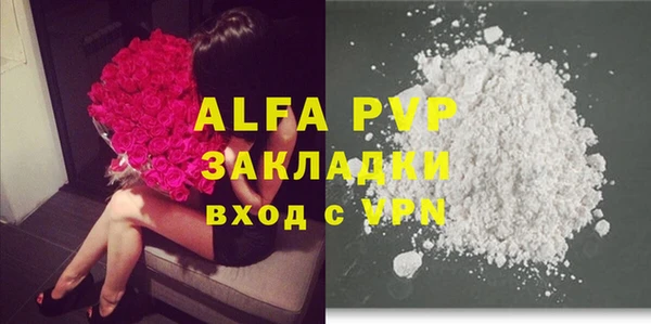 крисы Козловка