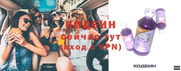 крисы Козловка